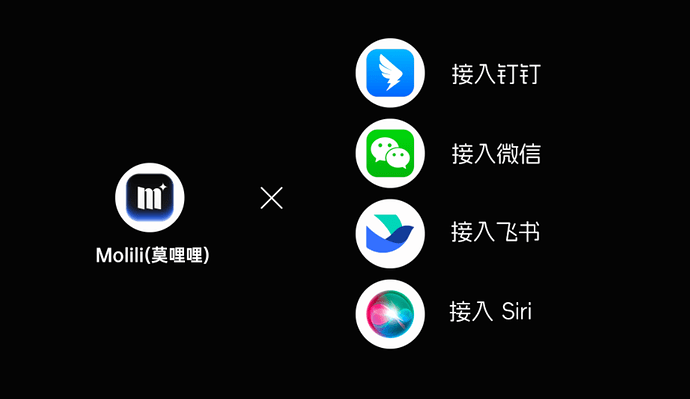Molili接入钉钉详细教程 Molili接入钉钉机器人教程
