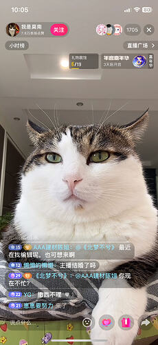 IMG_6621.PNG